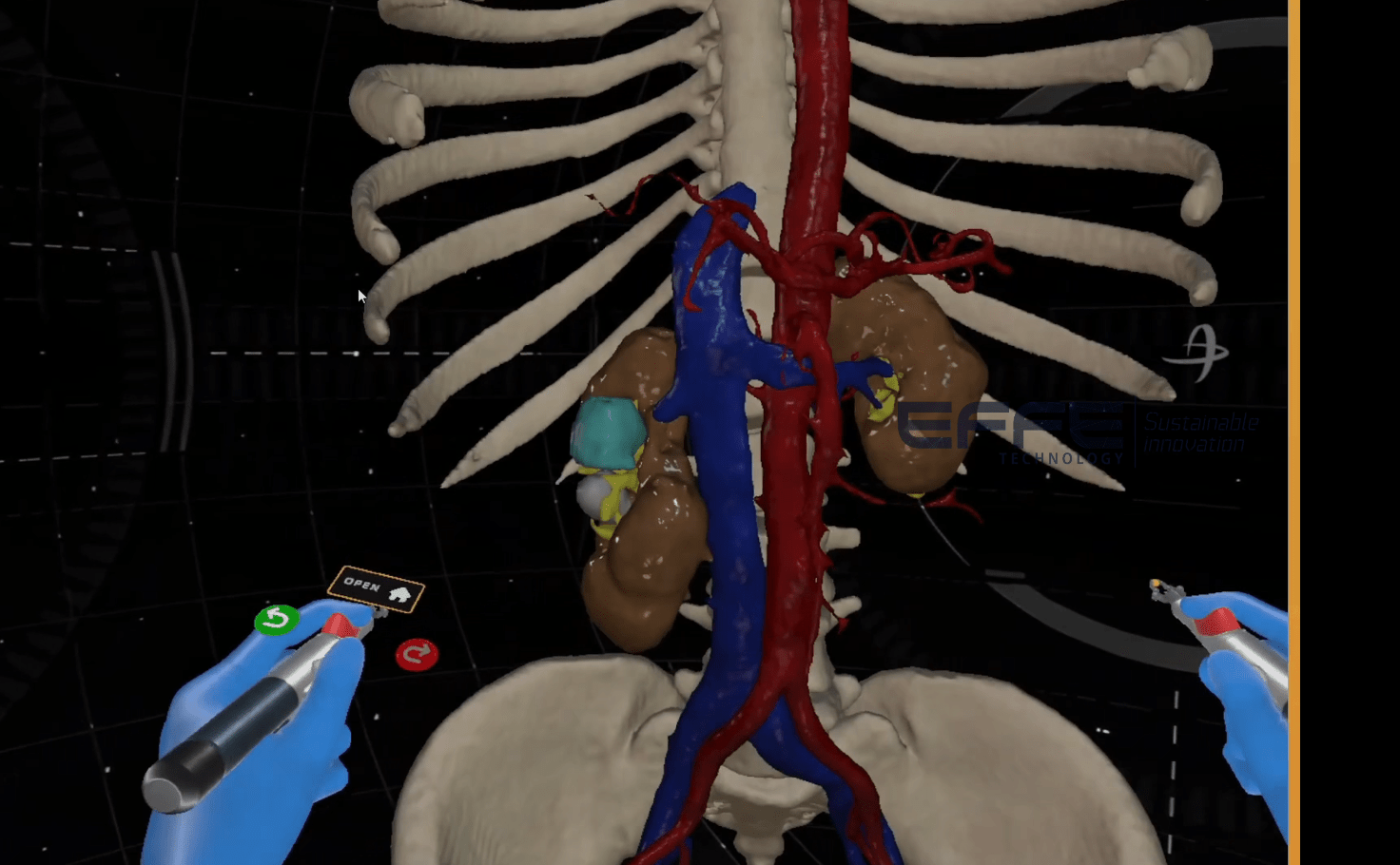 Urinary system function
