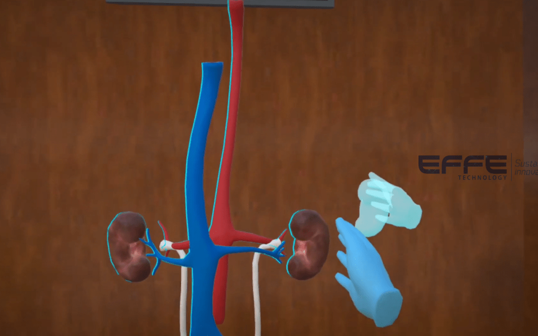 Urinary System VR Model for Medical Training | Immersive 3D Mechanism & Function Visualization