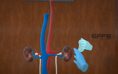 Urinary System VR Model for Medical Training | Immersive 3D Mechanism & Function Visualization
