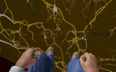 Neural Damage VR Visualization System | Advanced Virtual Reality Neurology Training Platform