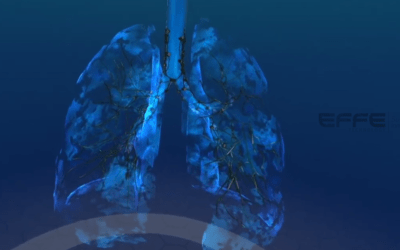 Portfolio: 3D Respiratory System VR Model for Asthma & COPD Clinical Training