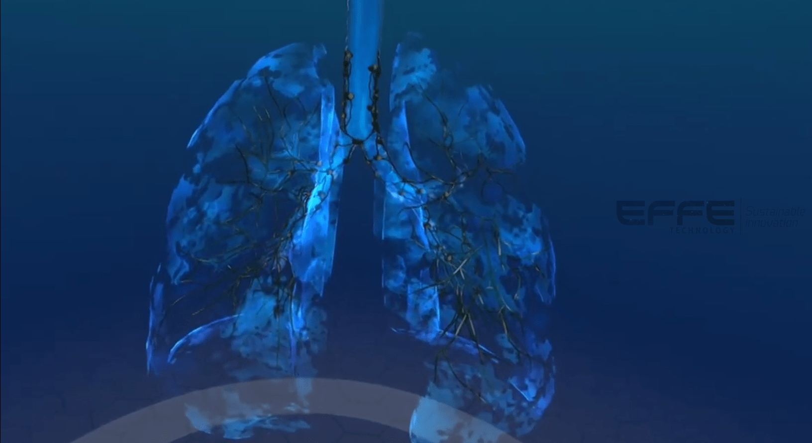 respiratory system VR