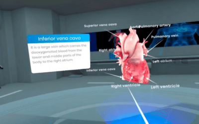 VR Human Heart Simulation for Students with Interactive VR + Web-Based Learning Lab