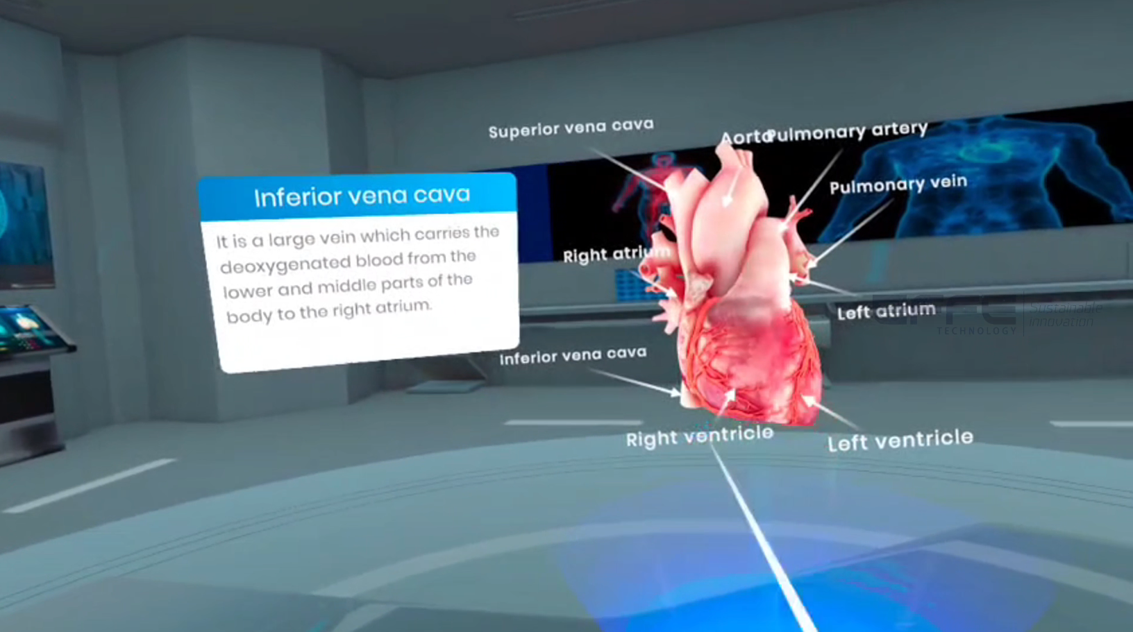 VR human heart simulation